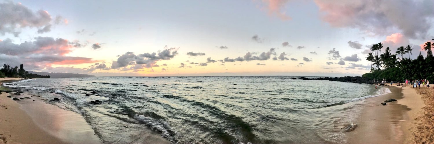 Martin Collins banner