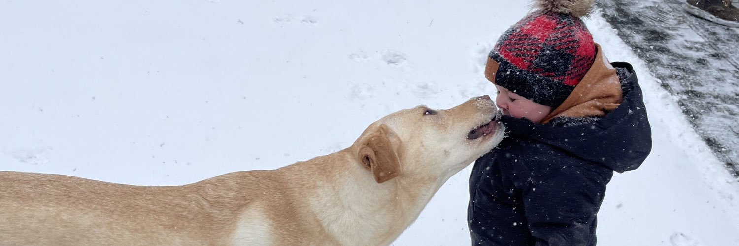 haileyhuml's profile banner image