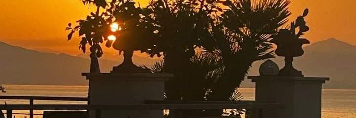 DelbonoDaniela's profile banner image
