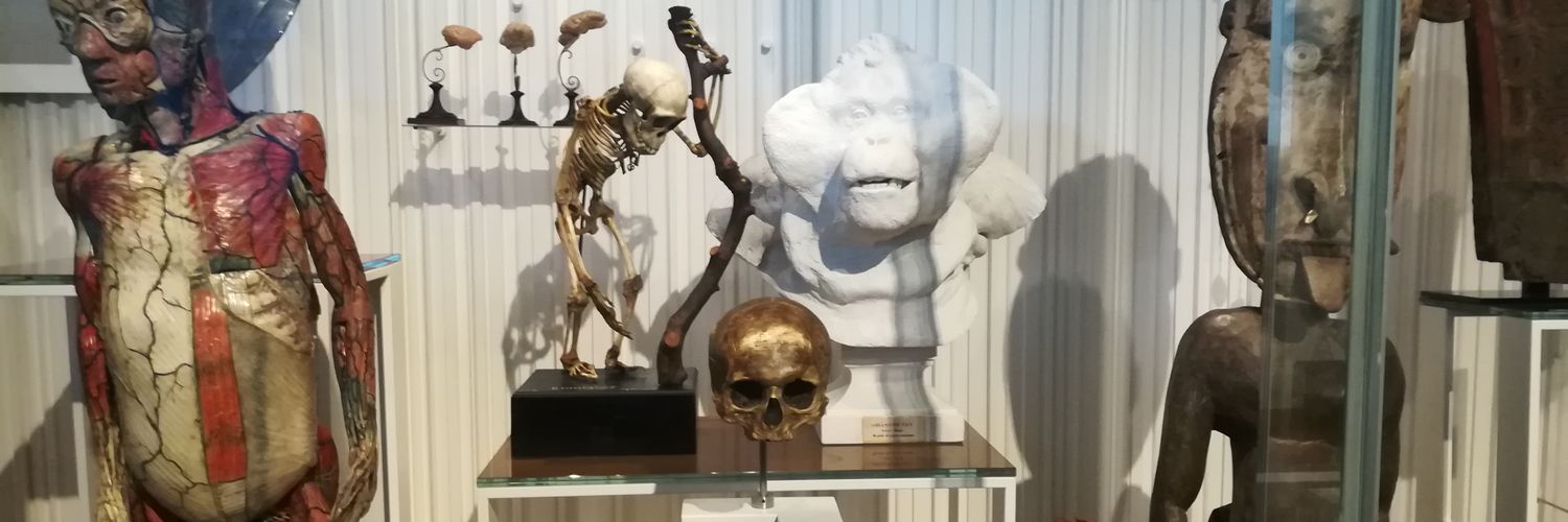 AstraSénèque banner