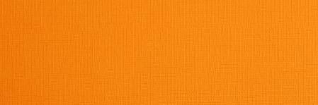 jaz_brodzinski's profile banner image