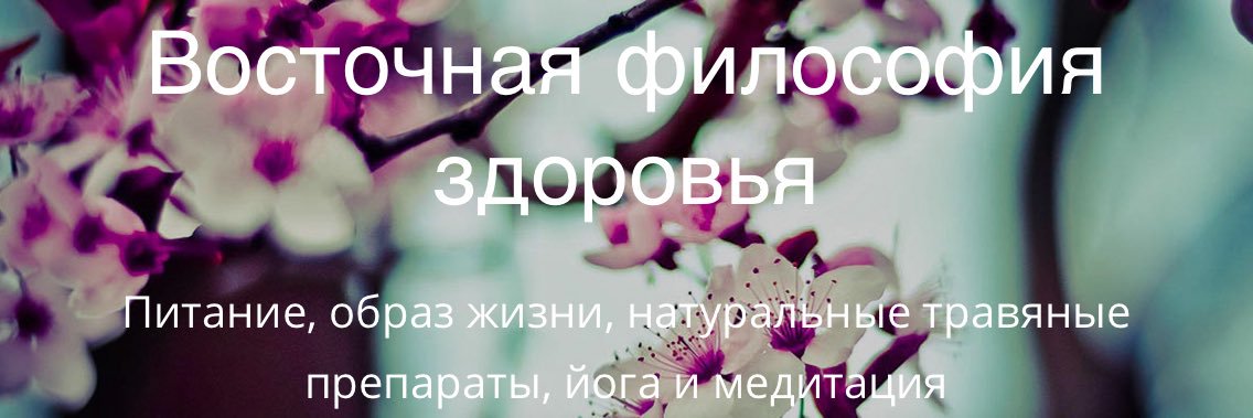 YYusipova's profile banner image