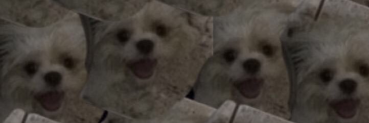 karinecp's profile banner image