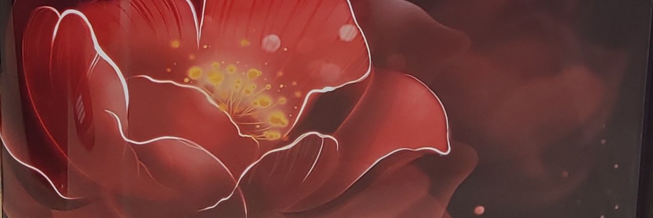 SaeedShaikh_'s profile banner image