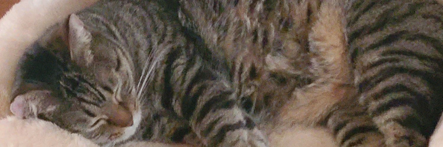 mikawa326's profile banner image