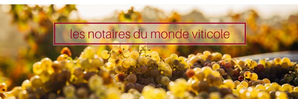 jurisvin Profile Banner