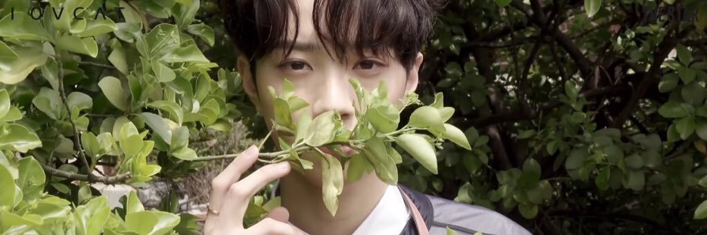 Sakura_keki's profile banner image
