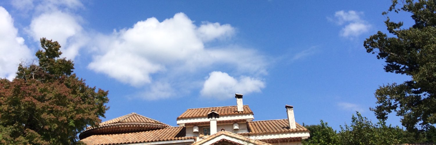 ♪ _mari_ ♪ banner