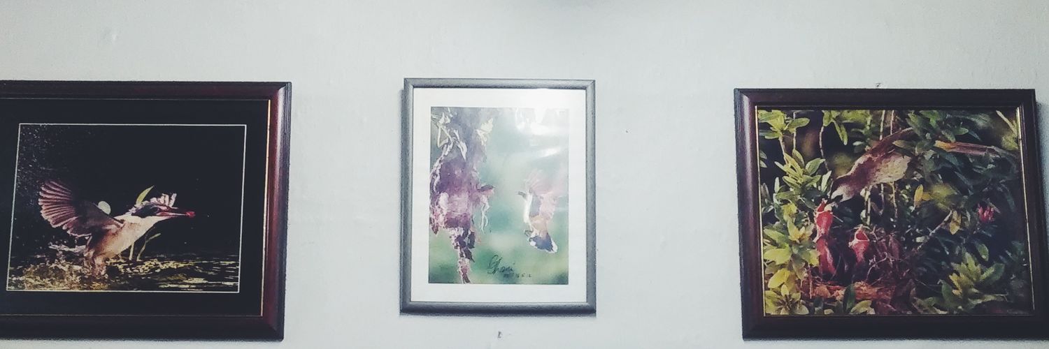 🏴Amir Ariff🏴 banner