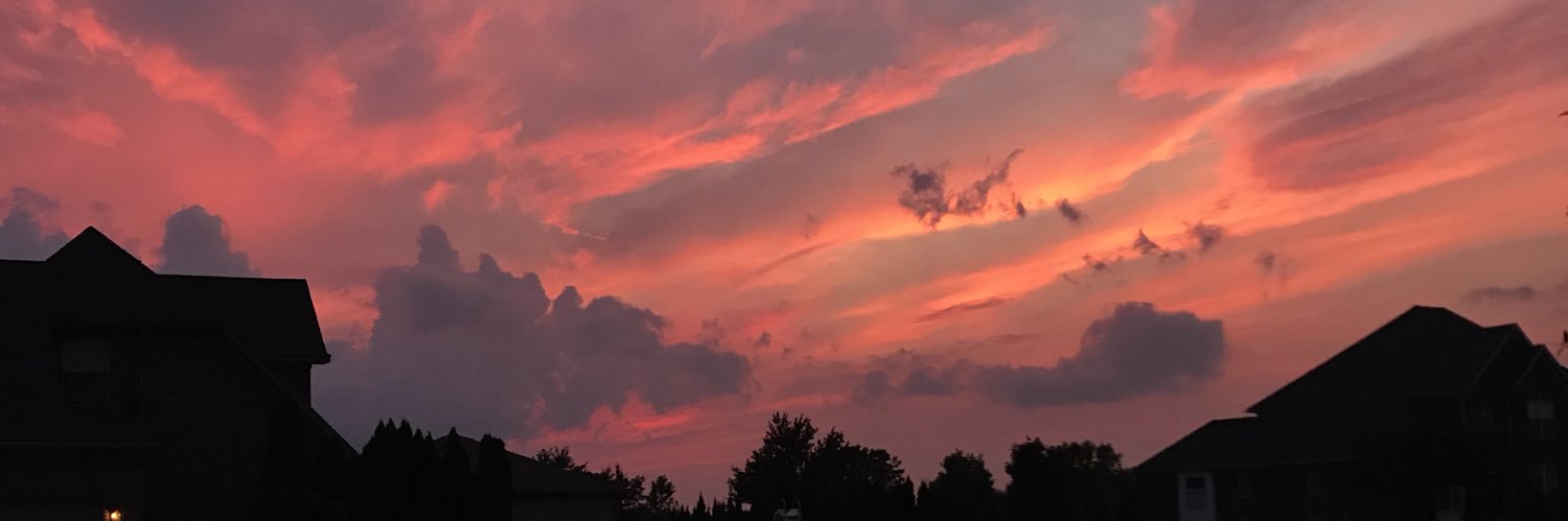 madi_tockstein's profile banner image