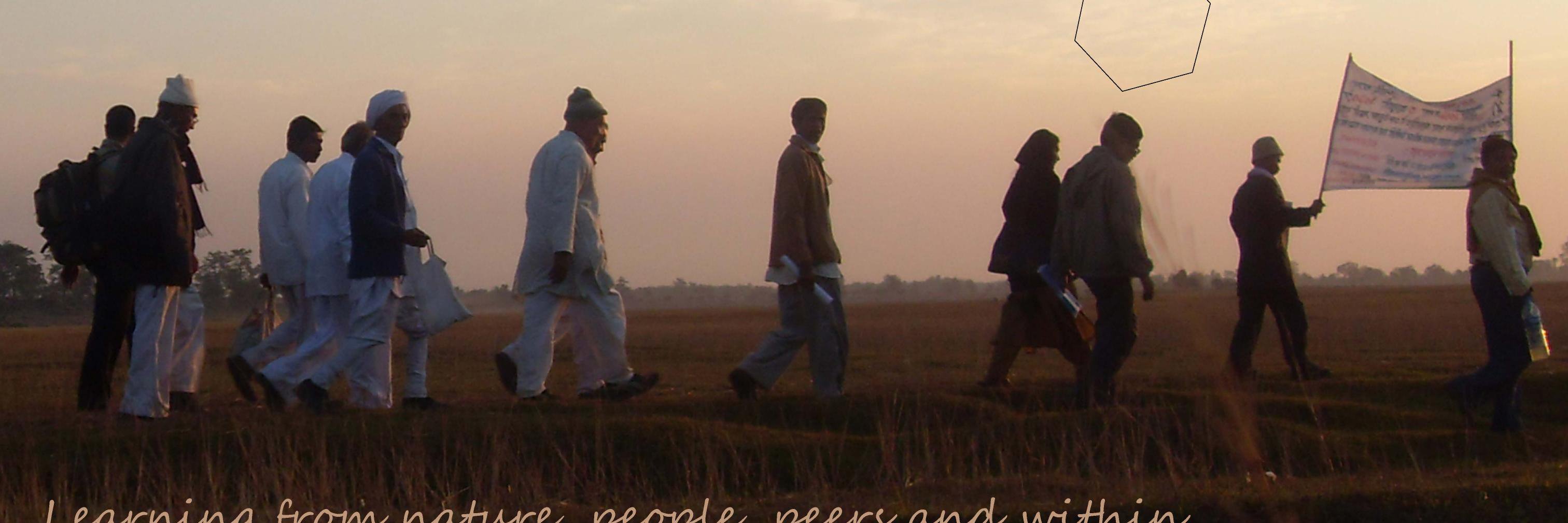 HoneyBeeReport banner