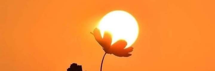 nitin31dec95's profile banner image