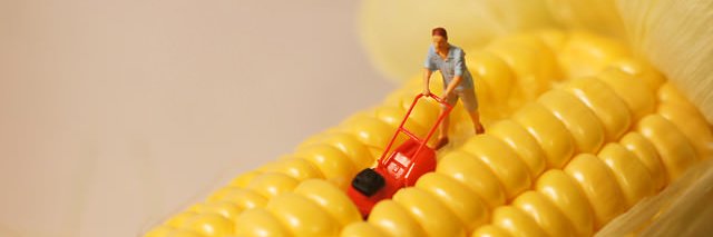 Farm4Food's profile banner image