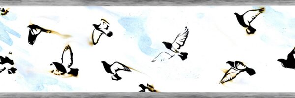 joshuarhayden Profile Banner