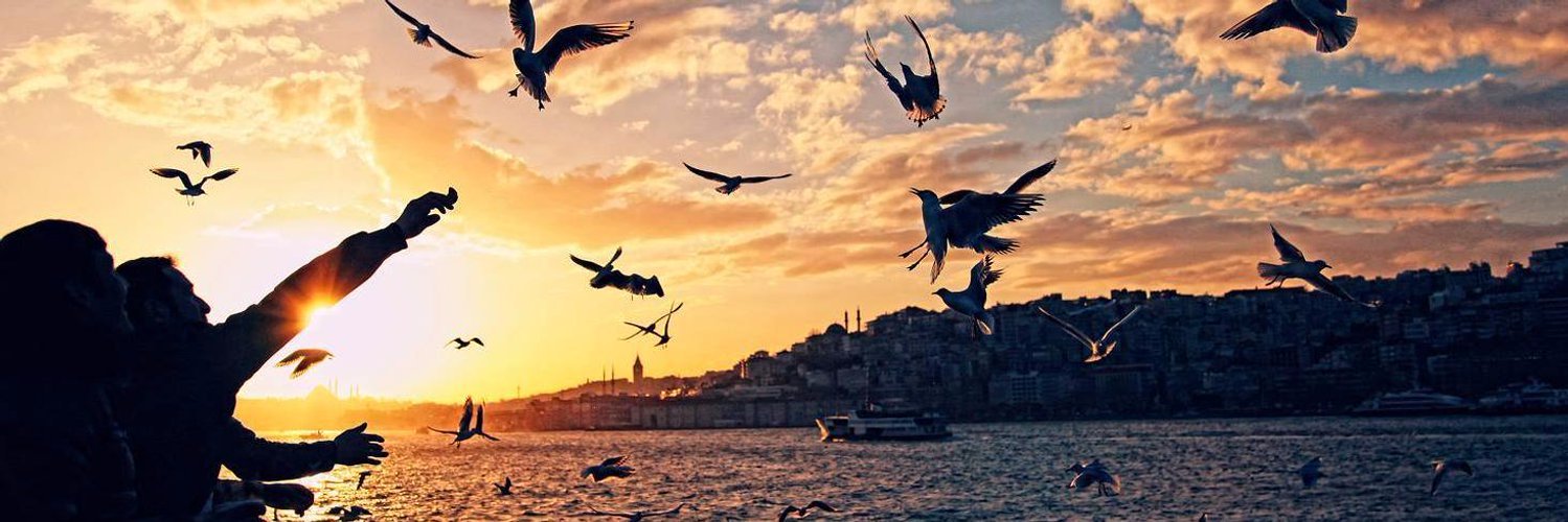 ahmettarman's profile banner image