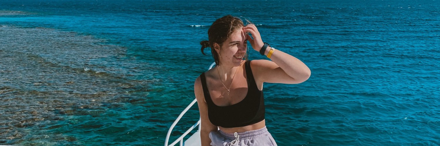 sofialaps's profile banner image