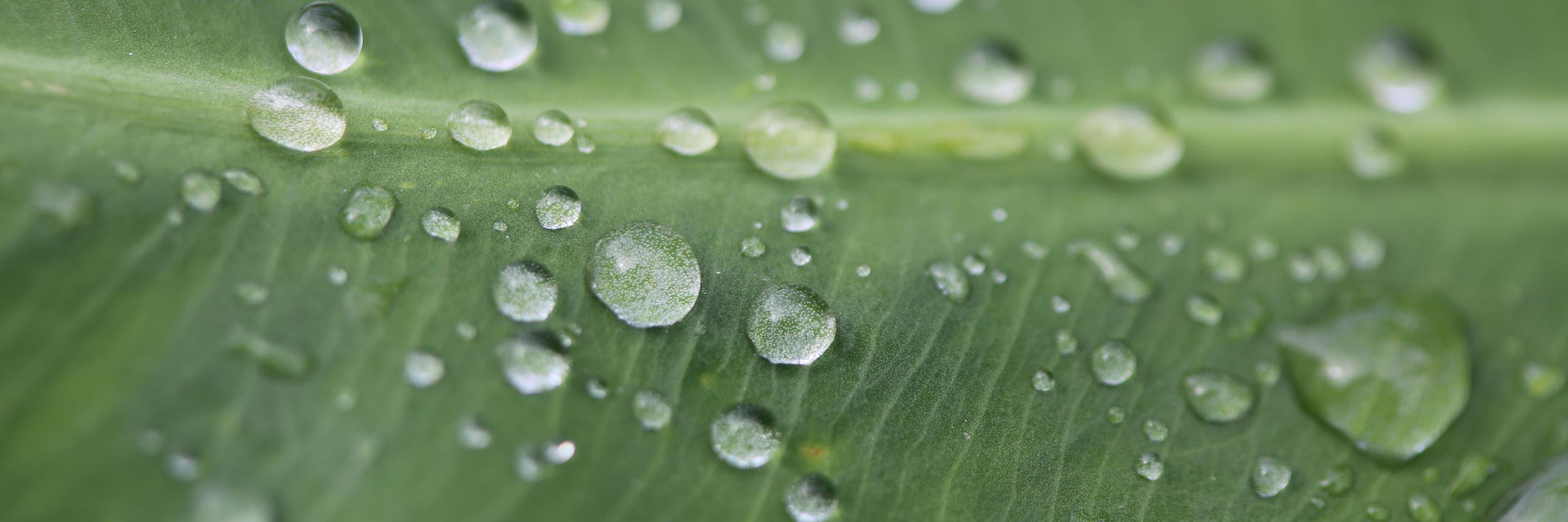 Chaire ElsaPact banner