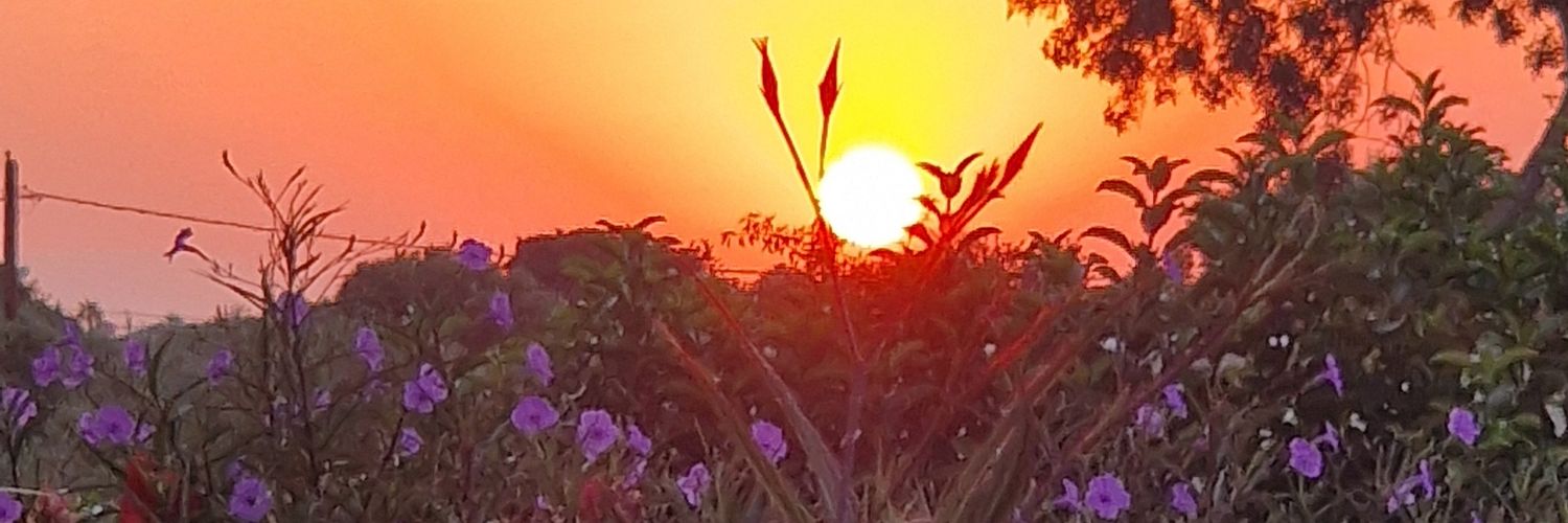 dmh2174's profile banner image