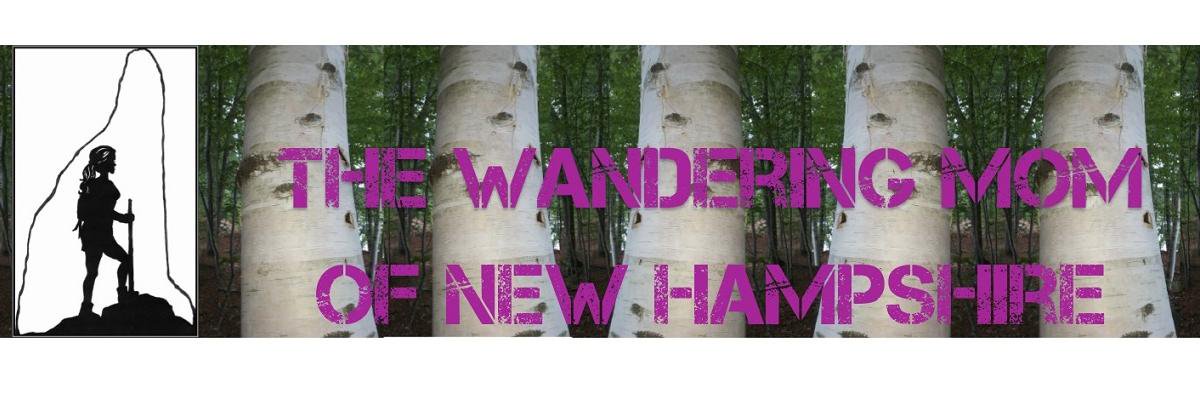 WanderingMomNH's profile banner image