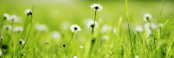 VincentPRESSOIR's profile banner image