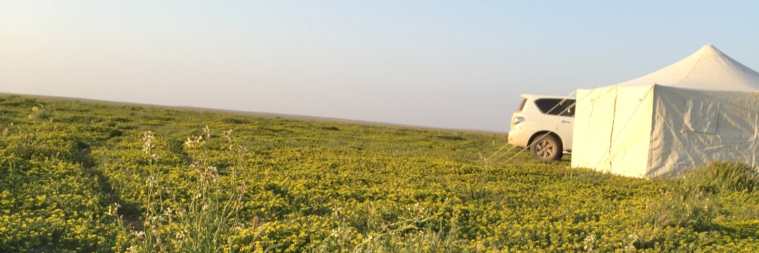 نواف المصرب banner