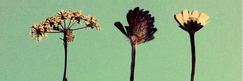 deafmartyr's profile banner image