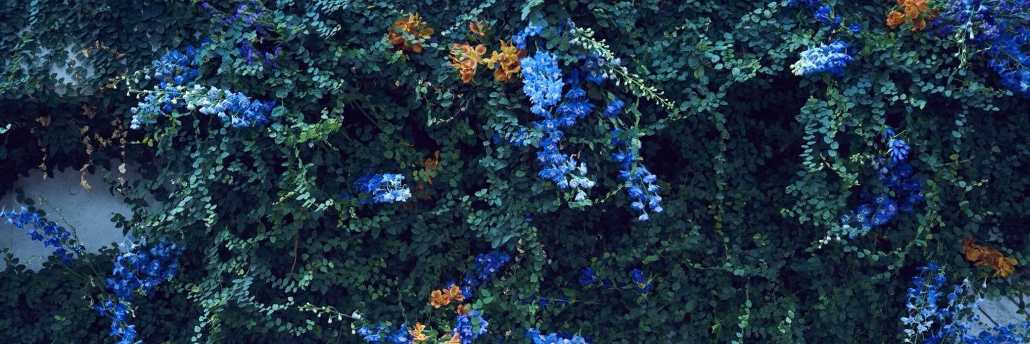 Mi_rrs's profile banner image