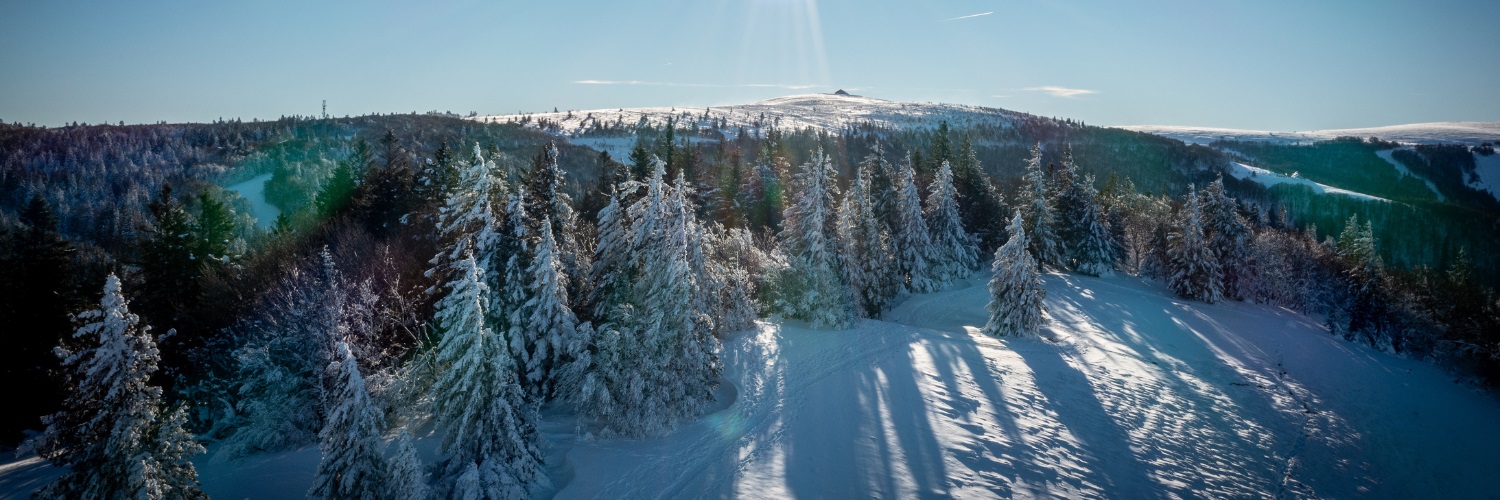 Région Grand Est banner