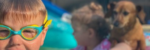 Amanda Carlton banner