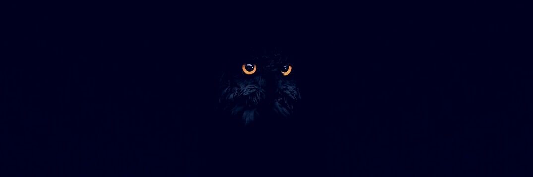 Fernando H. Cannales banner