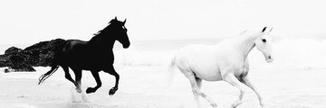 UmarAnjono's profile banner image