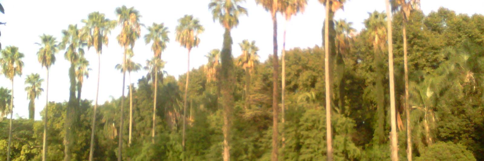KENZAMADRID2's profile banner image