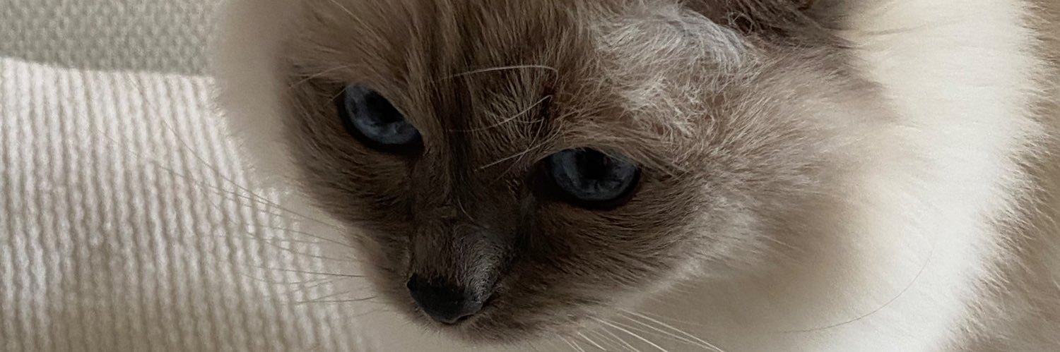 kvfzl's profile banner image