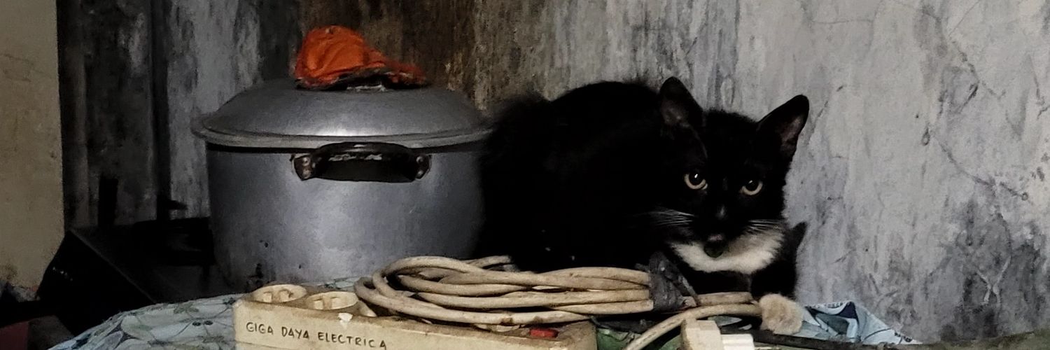 Fatherfvckerrr's profile banner image