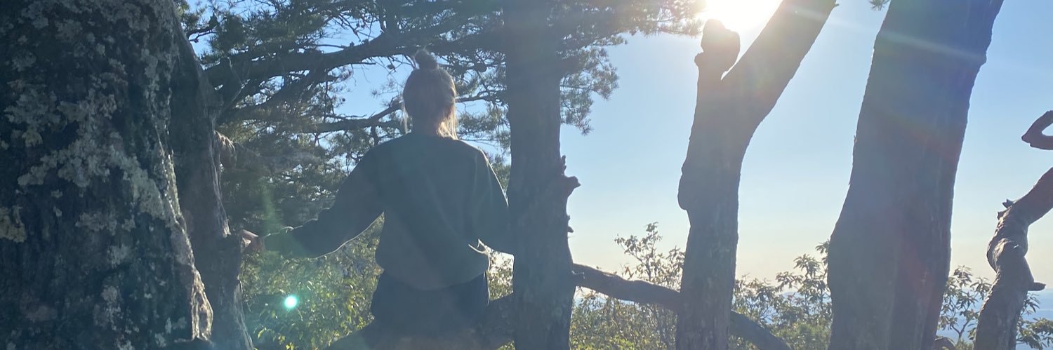 Ryleebh's profile banner image