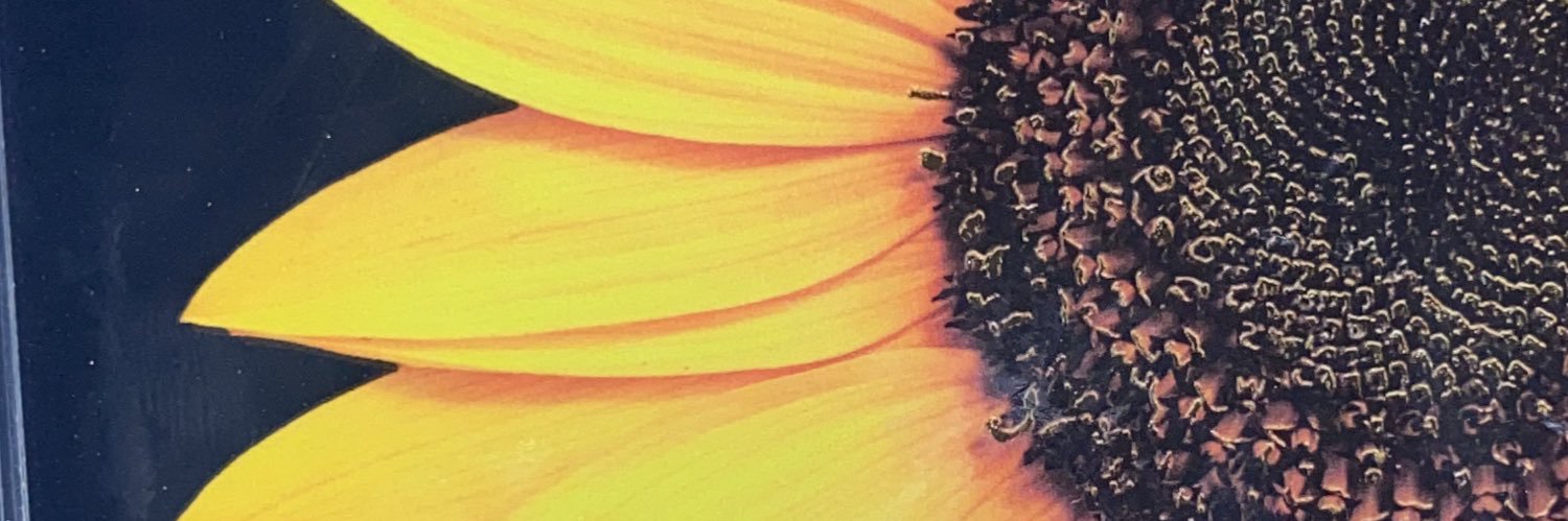 uknowadrienne's profile banner image