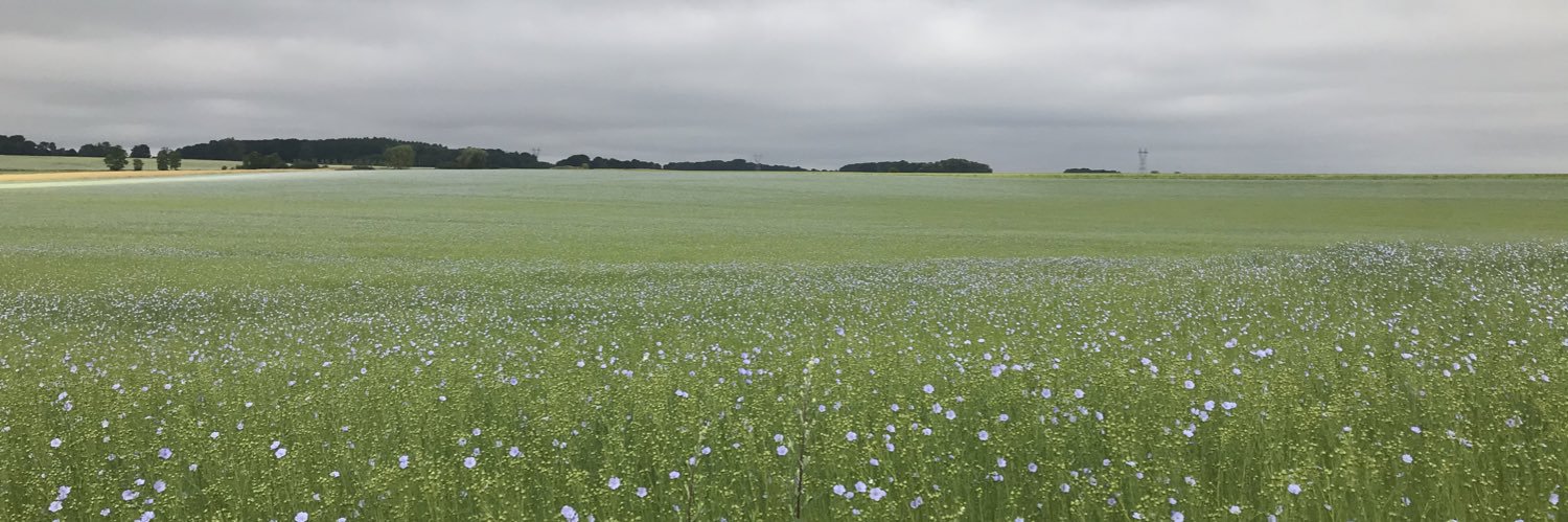 ericdecress's profile banner image