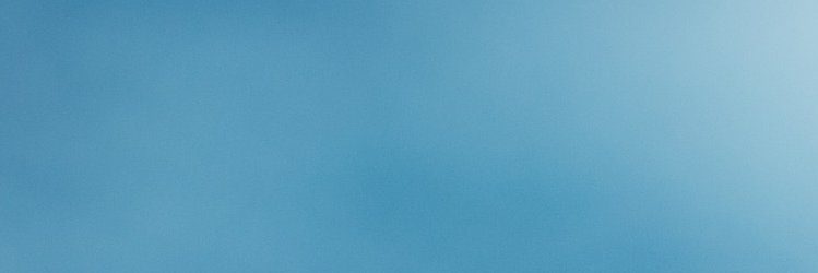 PvdD Fryslân banner