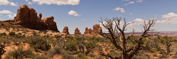 sophshepherd Profile Banner