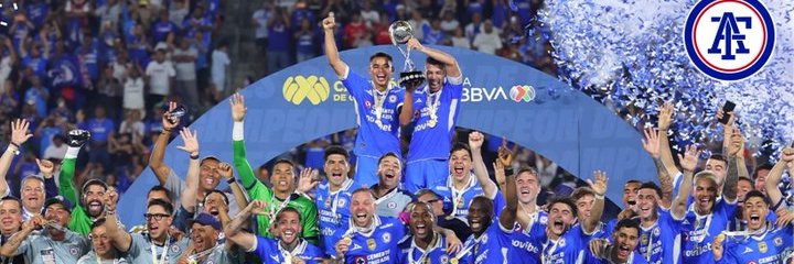 Ligeirinho banner