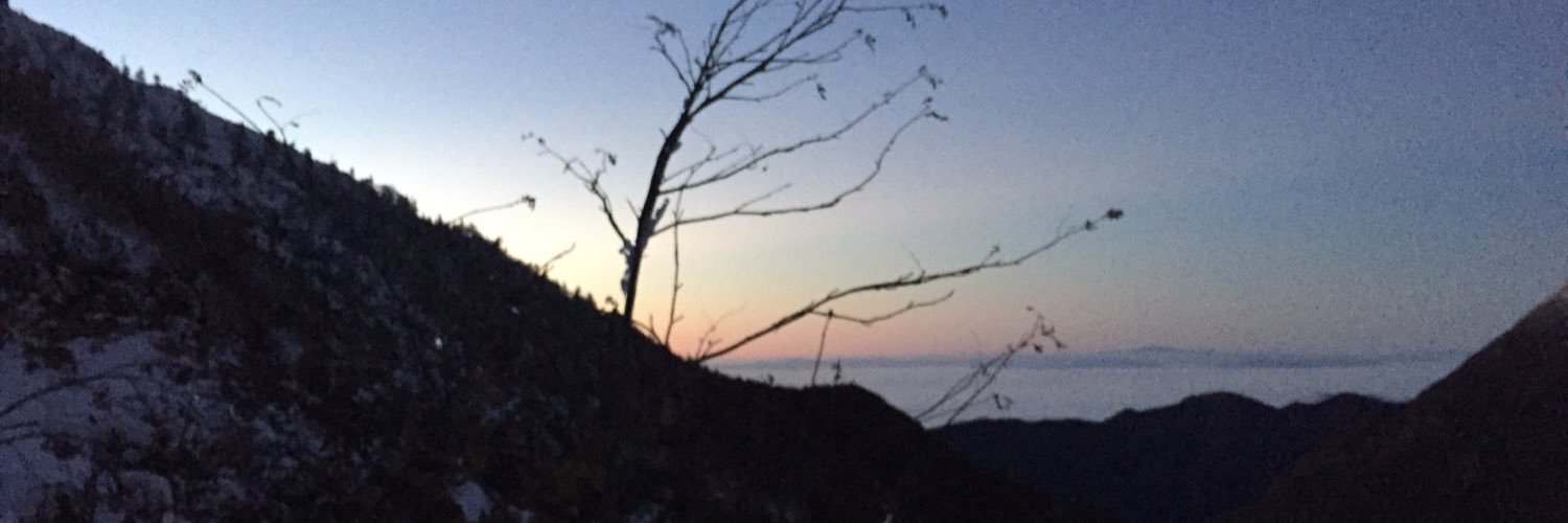 rejnina's profile banner image