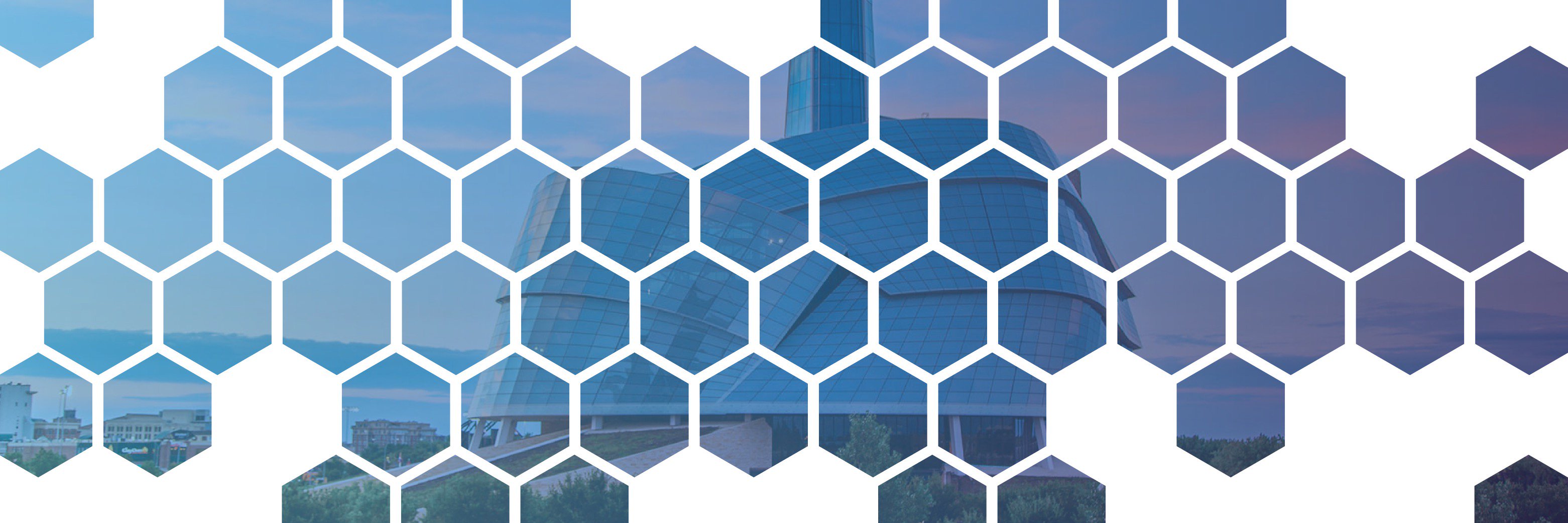 Global Network banner