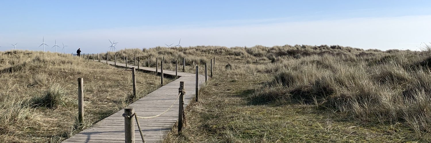 Beth Flintoff banner