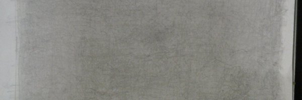 hydrangea86 Profile Banner