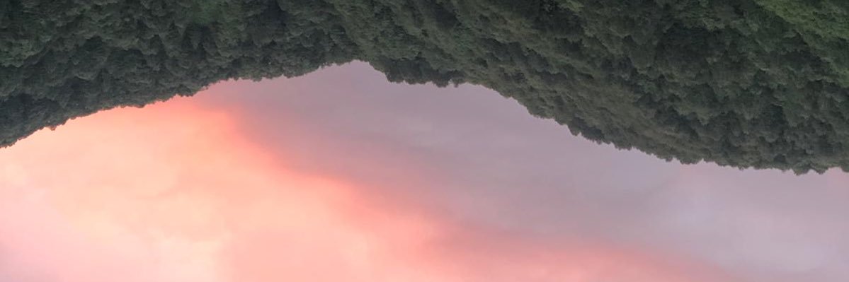 resatergene's profile banner image
