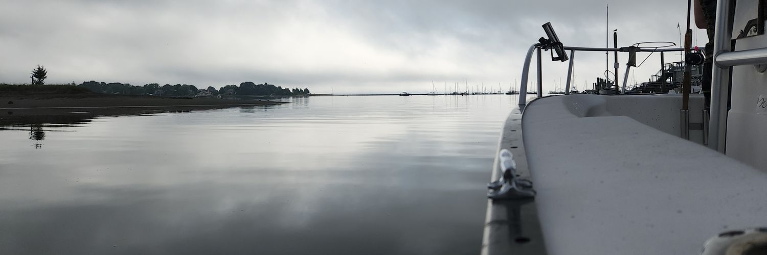 Rex The Ripper banner