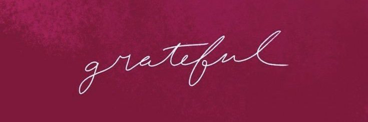 mndynn__'s profile banner image