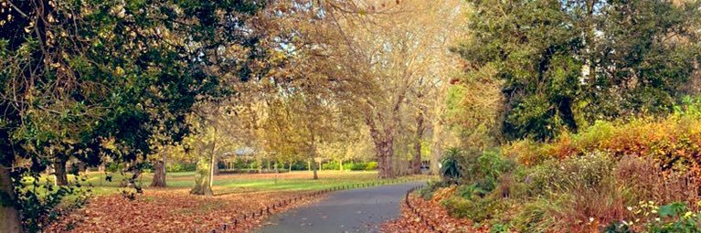 ankita poddar banner