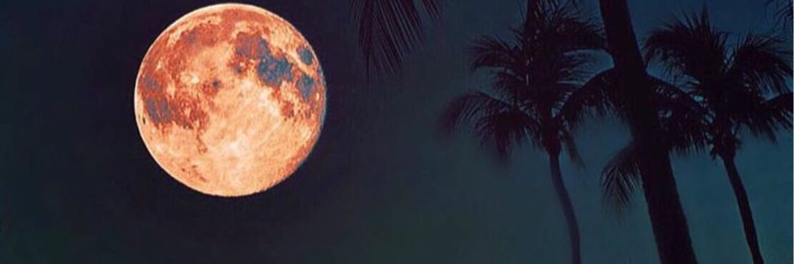 ezekielphtgrphy's profile banner image