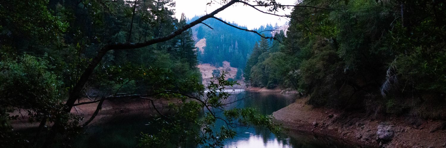 Sola @deermoder.bsky.social banner